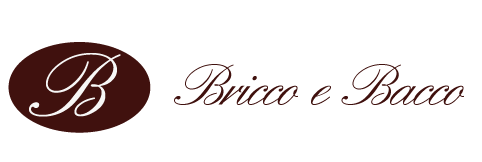 bricco-logo
